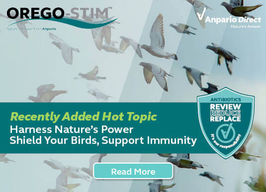 Orego-Stim - Nature's Answer - to Supporting Bird Immunity